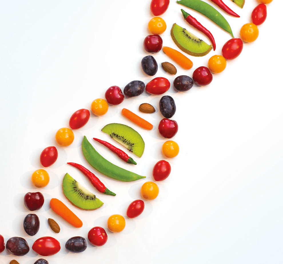 DNA helix made out of fruit